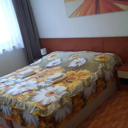 Pensionat Mlynarka 3*