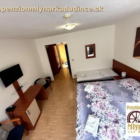 U Mlynárky 3* Dudince