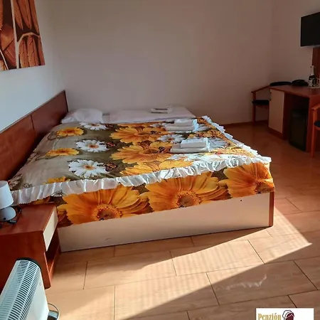 U Mlynárky Casa de hóspedes Dudince