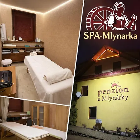 Pensionat Mlynarka Dudince