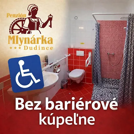 Mlynarka Pensionat Dudince