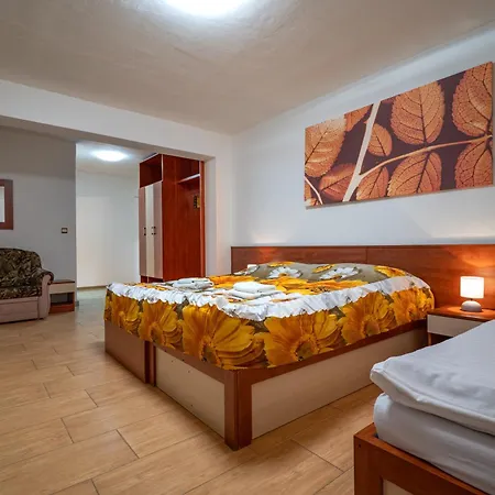 Mlynarka Pensionat 3*