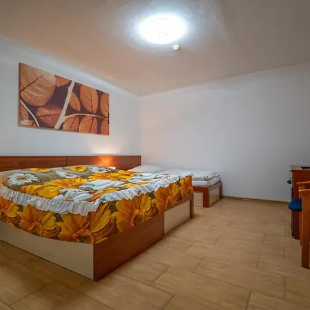 Mlynarka Pensionat 3*