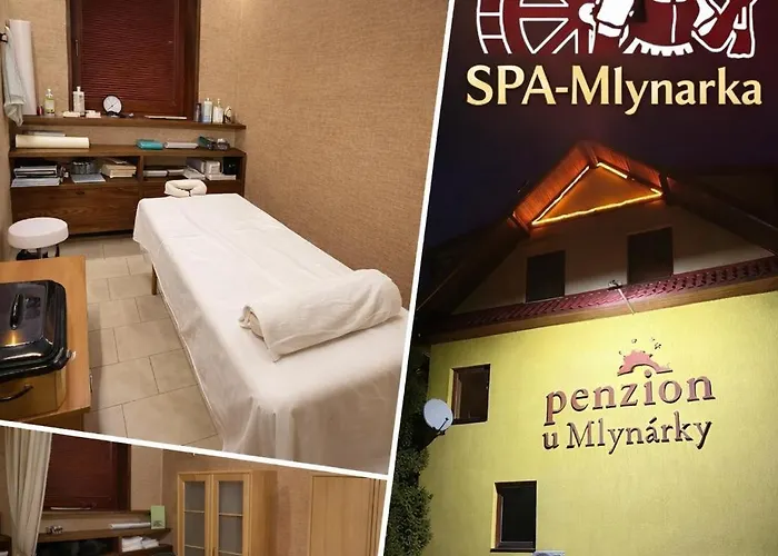 Pensión U Mlynárky Dudince